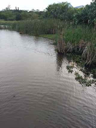 Damwater for treatemnt