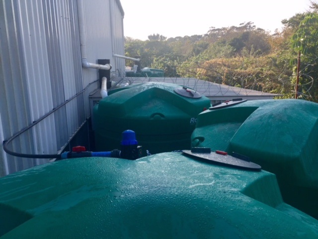 Factory rainwater harvesting system