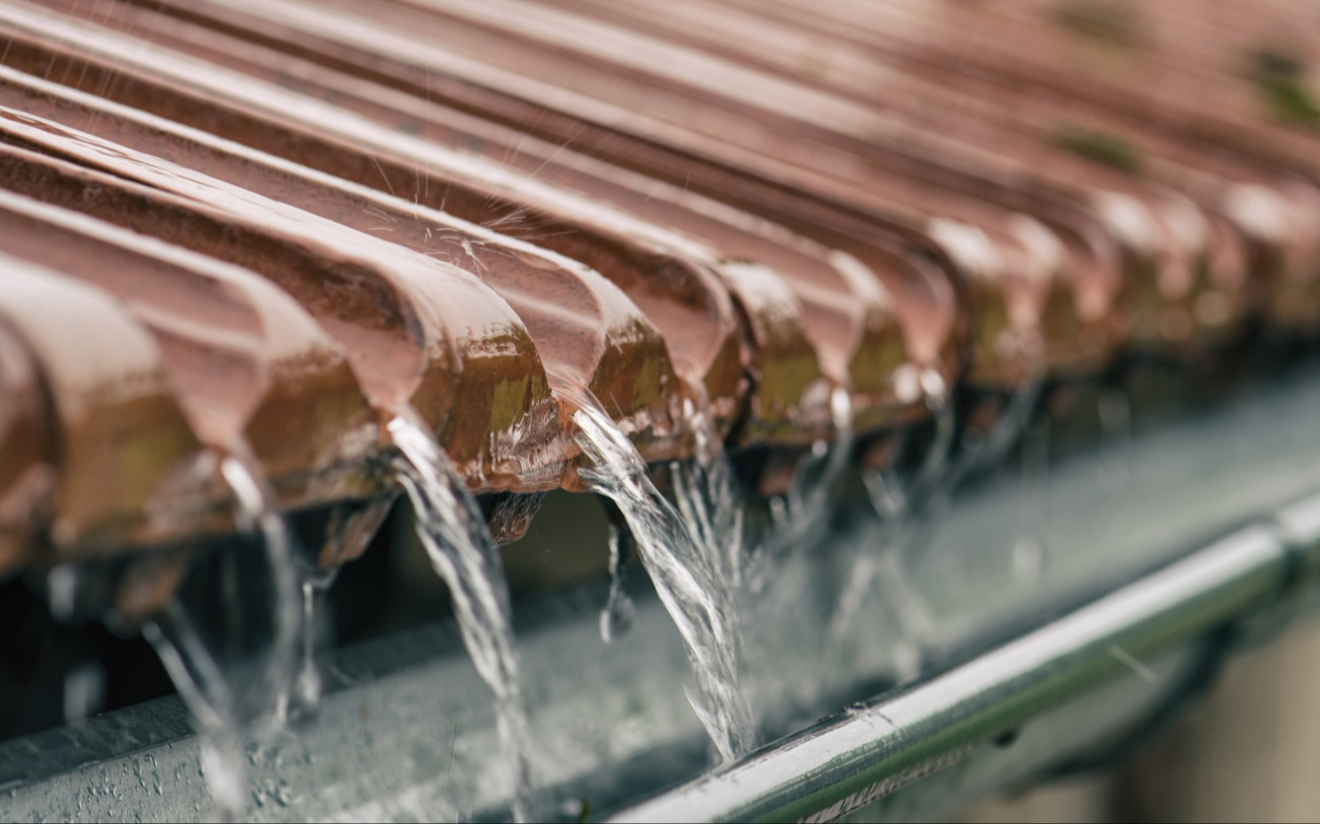 Rainwater Harvesting Specialists